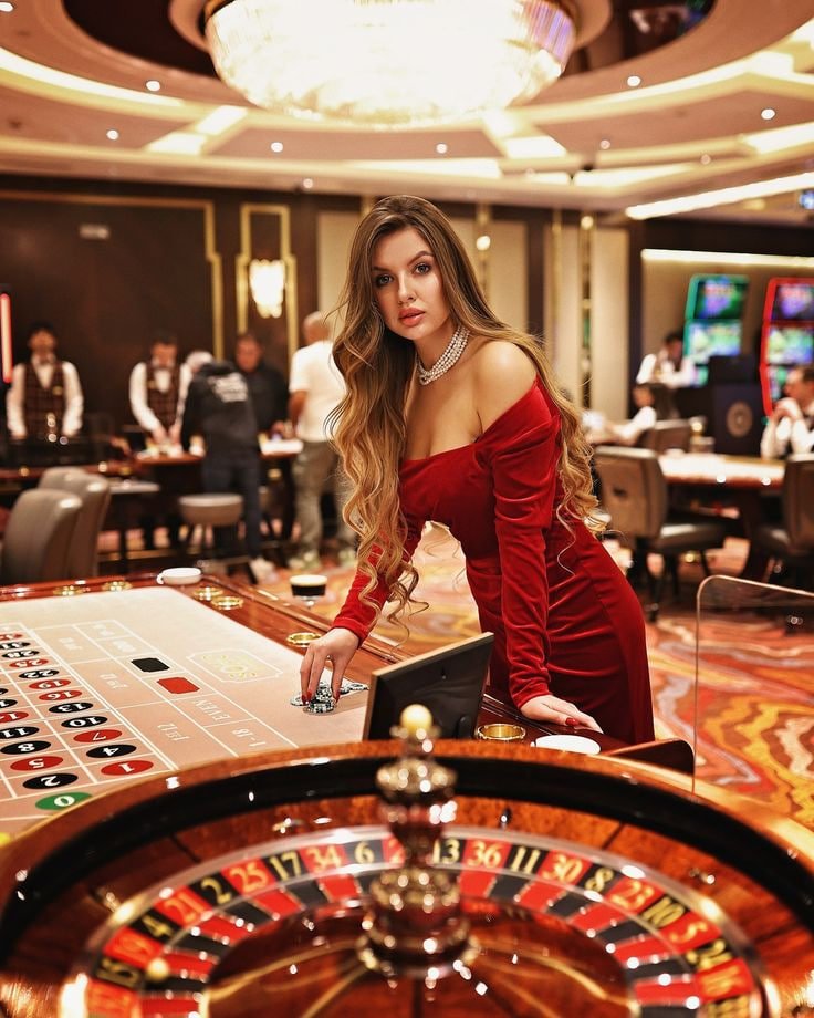 bet 558 casino bet 558 casino